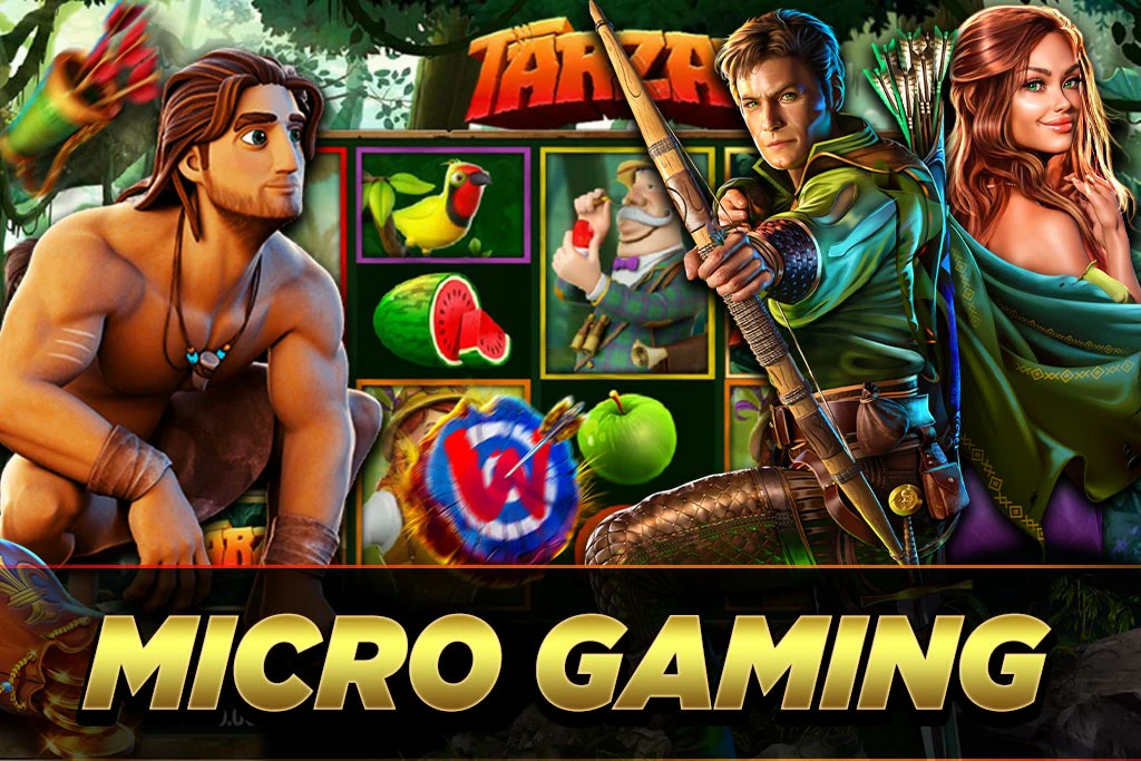 MICRO GAMING